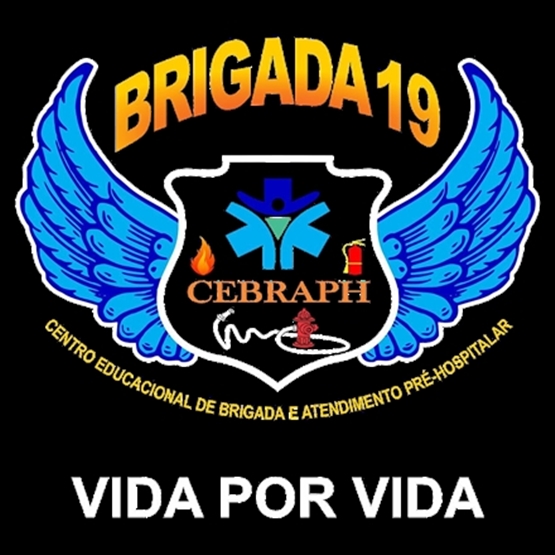 Brigada 19